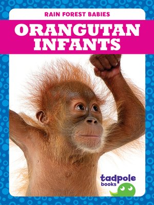 cover image of Orangutan Infants